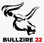 bulldzire 22 logo